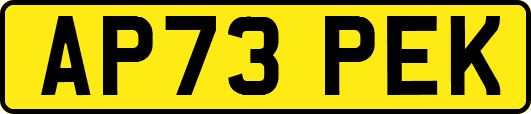 AP73PEK