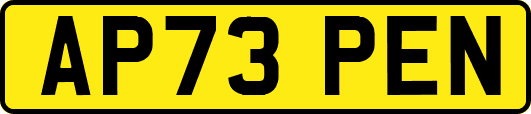 AP73PEN
