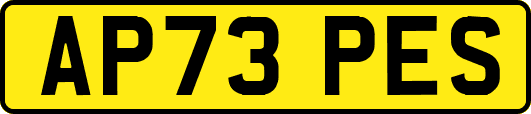 AP73PES