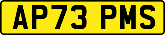 AP73PMS