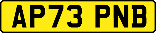 AP73PNB