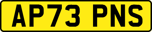 AP73PNS