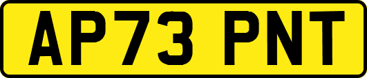 AP73PNT
