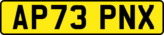 AP73PNX