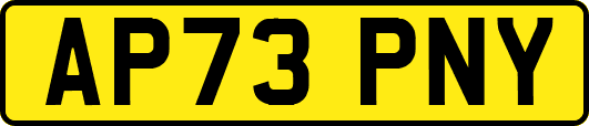AP73PNY