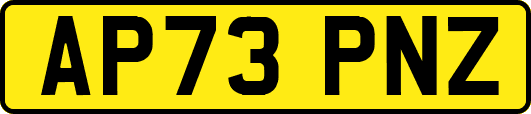 AP73PNZ