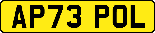 AP73POL
