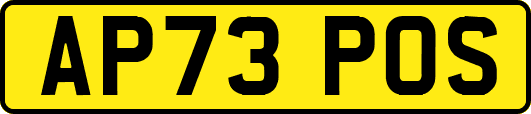 AP73POS