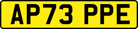AP73PPE