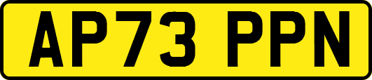 AP73PPN