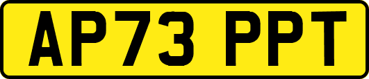 AP73PPT