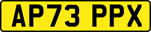 AP73PPX