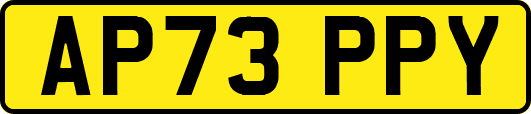 AP73PPY