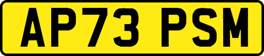 AP73PSM