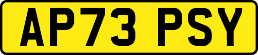 AP73PSY