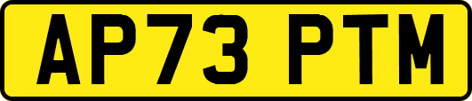 AP73PTM