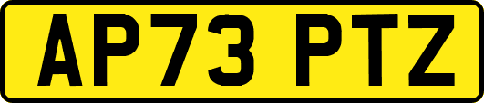 AP73PTZ
