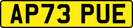 AP73PUE