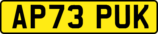 AP73PUK