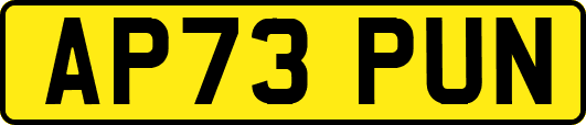 AP73PUN