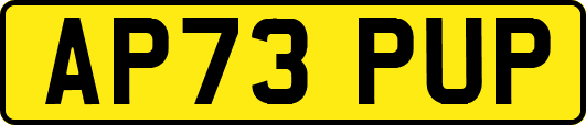 AP73PUP