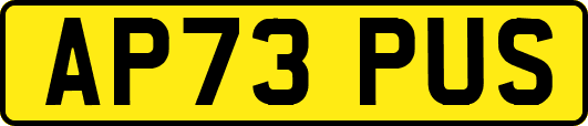 AP73PUS