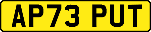 AP73PUT
