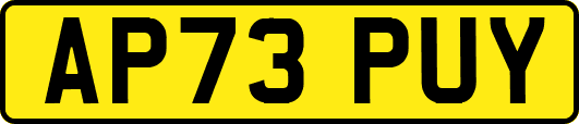 AP73PUY