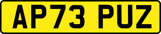 AP73PUZ