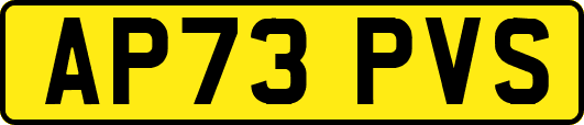 AP73PVS