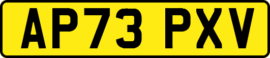 AP73PXV