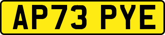 AP73PYE