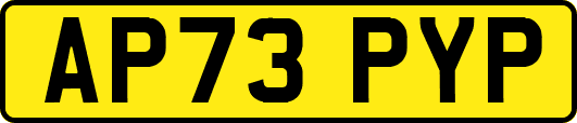 AP73PYP