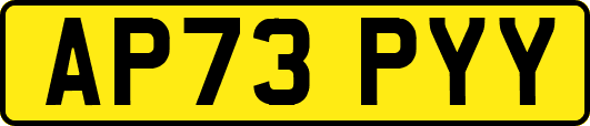 AP73PYY