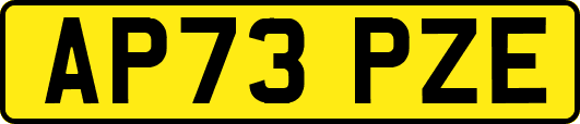 AP73PZE
