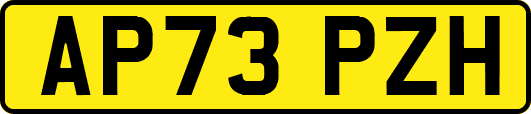 AP73PZH