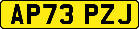 AP73PZJ
