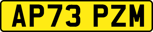 AP73PZM