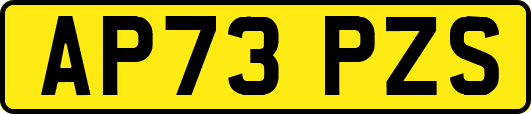 AP73PZS