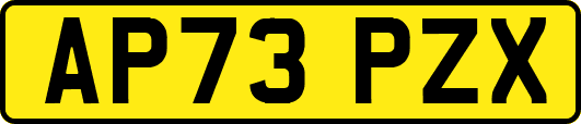 AP73PZX