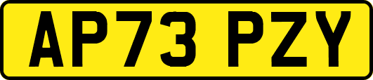 AP73PZY