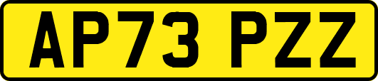 AP73PZZ