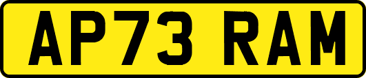 AP73RAM
