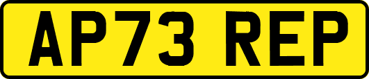 AP73REP
