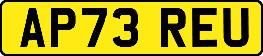AP73REU