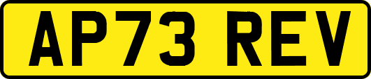 AP73REV