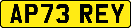 AP73REY