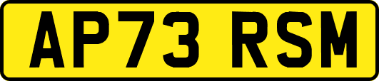 AP73RSM
