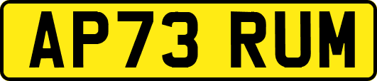AP73RUM