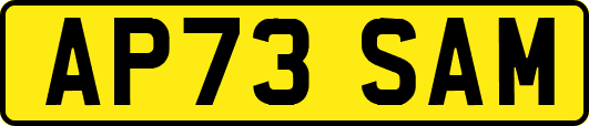AP73SAM